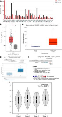 The Clinical Significance and Immunization of MSMO1 in Cervical Squamous Cell Carcinoma Based on Bioinformatics Analysis